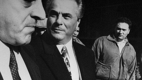 Rise & Fall of Gotti Rise & Fall of Gotti