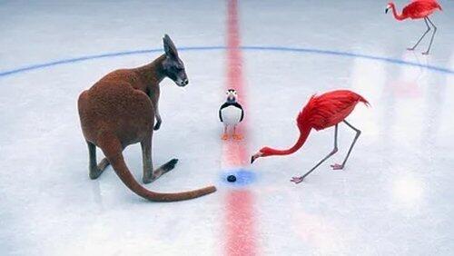 Hockey sur glace Hockey sur glace