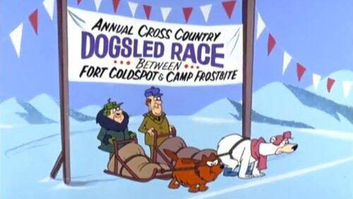 The Fastest Bear in the North The Fastest Bear in the North