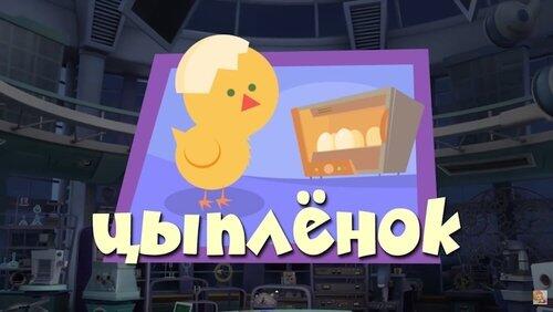 Цыплёнок Цыплёнок