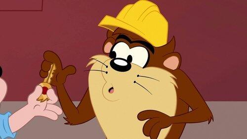 Taz Recycle Taz Recycle