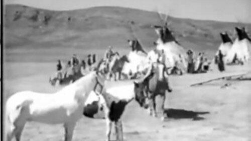 Stolen Horses Stolen Horses