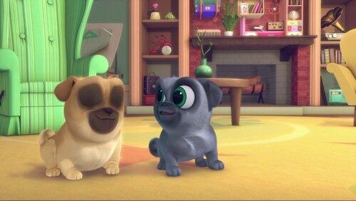 Take Me Out to the Pug Game Take Me Out to the Pug Game