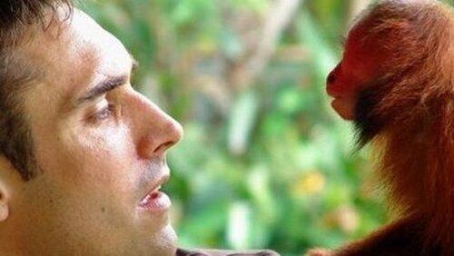 Uakari: Secrets of the English Monkey Uakari: Secrets of the English Monkey