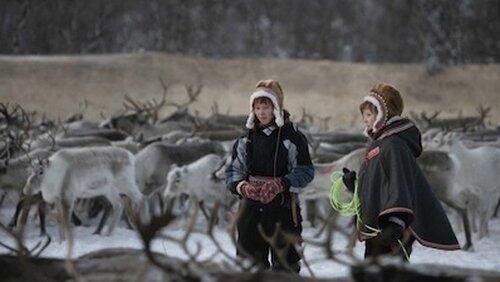 Reindeer Girls Reindeer Girls