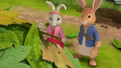 The Tale of the Peekaboo Rabbits The Tale of the Peekaboo Rabbits