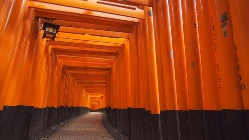 Fushimi Inari Taisha: A Manifestation of Prayers to the Deities on the Mountain Fushimi Inari Taisha: A Manifestation of Prayers to the Deities on the Mountain