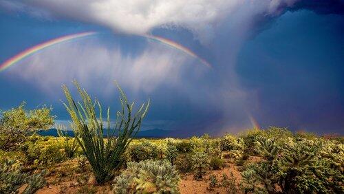 Wild West Wild West