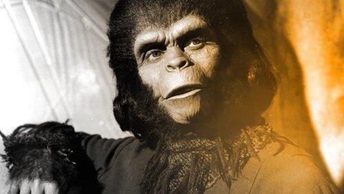 Apes in Hollywood Apes in Hollywood