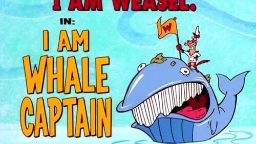 I Am Whale Captain I Am Whale Captain