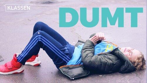 Stupid Stupid