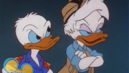 Stunt Double or Nothing Stunt Double or Nothing