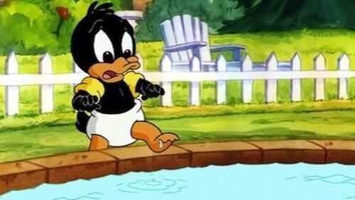 Like a Duck to Water Like a Duck to Water