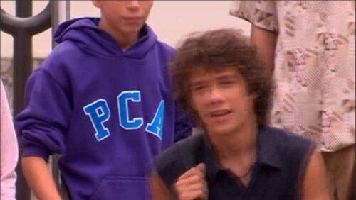 Quinn's Alpaca