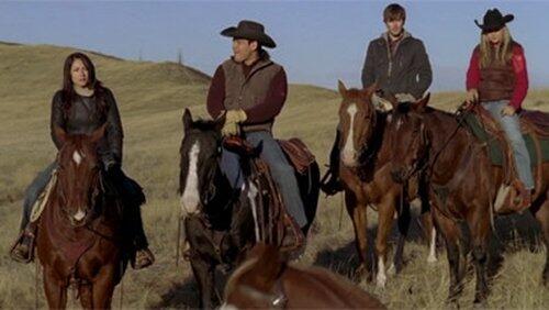Wild Horses Wild Horses