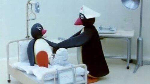 Pingu's Hospital Visit Pingu's Hospital Visit
