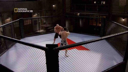 Mixed Martial Arts Mixed Martial Arts