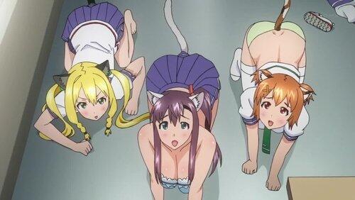 Meowken-ki? Meowken-ki?