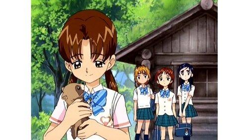 Namida's Farewell!? Rina's Ponpoko Tale Namida's Farewell!? Rina's Ponpoko Tale