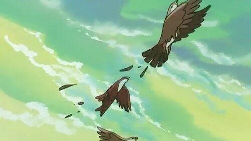 The Terrifying Bird Monster Corps The Terrifying Bird Monster Corps