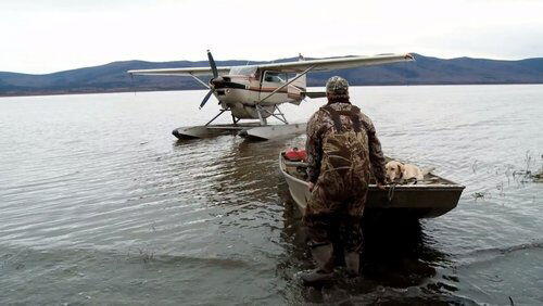 The Water's Edge: Waterfowl in Alaska The Water's Edge: Waterfowl in Alaska