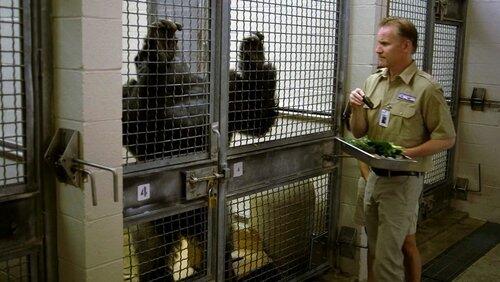 Zoos Zoos