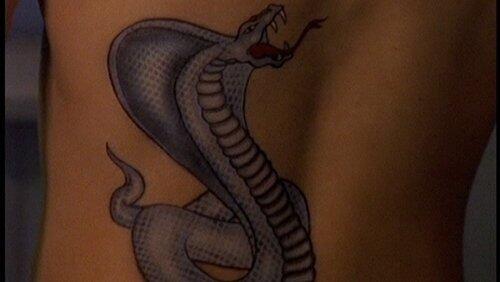 Curse of the Cobra (4) Curse of the Cobra (4)