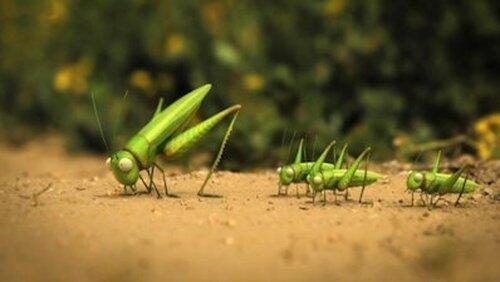 the grasshopper who didn't know how to leap the grasshopper who didn't know how to leap