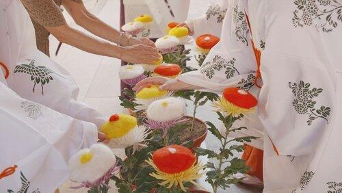 The Double Ninth Festival: Beautiful Chrysanthemums Grant Longevity The Double Ninth Festival: Beautiful Chrysanthemums Grant Longevity