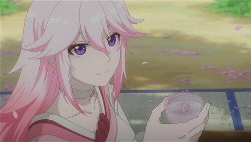 Sakura Sake at Dawn