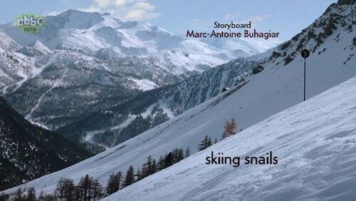 skiing snails / black slope for gastropod skiers skiing snails / black slope for gastropod skiers