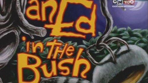 An Ed in the Bush An Ed in the Bush