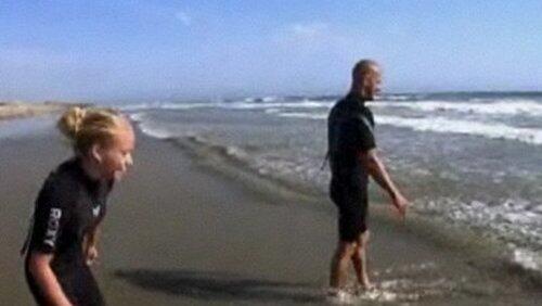 Surf's Up Surf's Up
