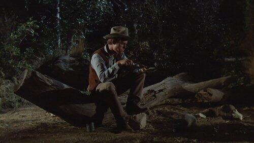 Vengeance Trail Vengeance Trail