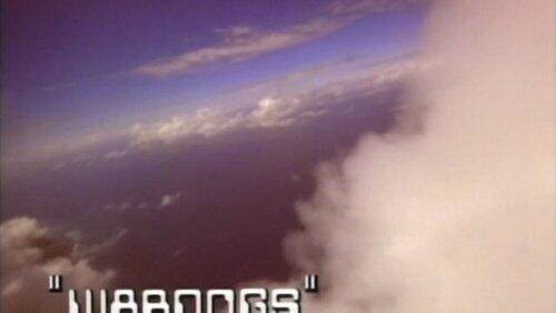 Wardogs Wardogs