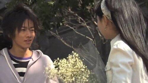 Madness, Delusion, Kasumi Flowers Madness, Delusion, Kasumi Flowers