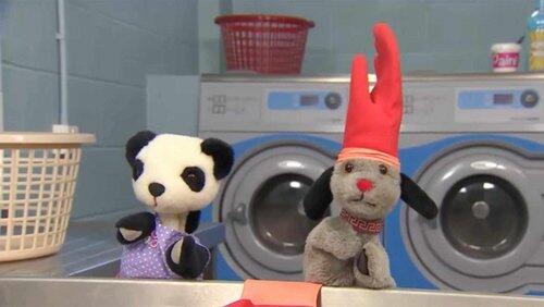 Wacky Washing Wacky Washing