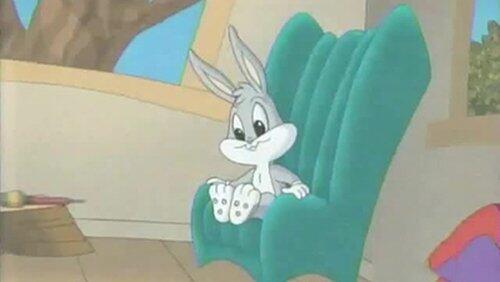 Lights! Camera! Tweety! Lights! Camera! Tweety!