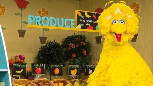 Grocery Games Grocery Games
