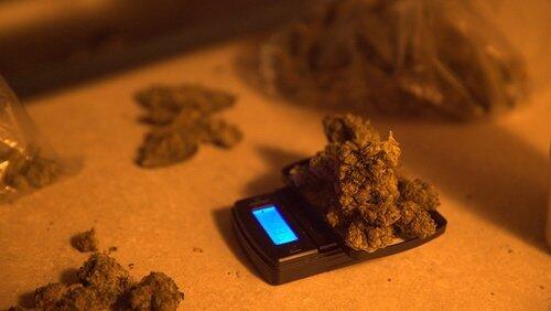 Holidaze Holidaze