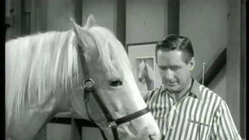Never Ride Horses Never Ride Horses