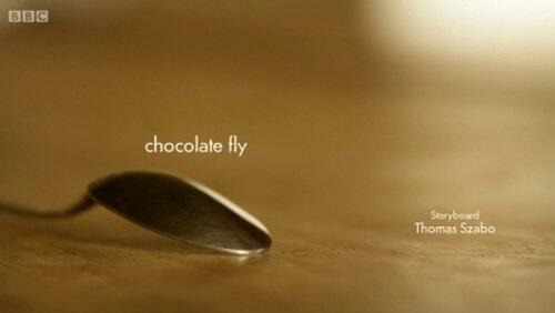 chocolate fly chocolate fly