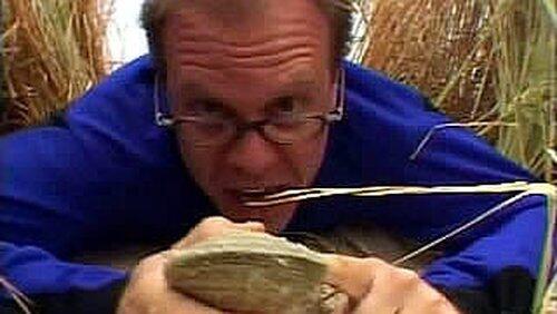 Send in the Clams Send in the Clams
