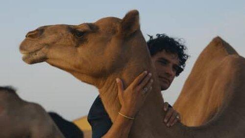 Abu Dhabi: The Charm of Tradition Abu Dhabi: The Charm of Tradition