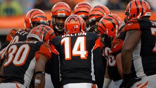 Training Camp with the Cincinnati Bengals #2