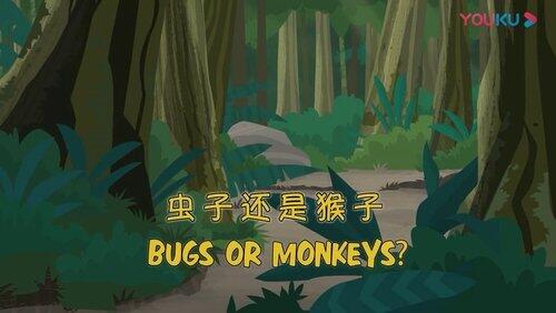 Bugs or Monkeys? Bugs or Monkeys?