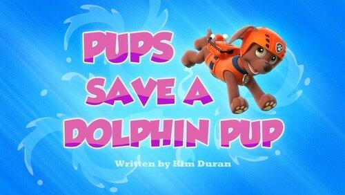 Pups Save a Dolphin Pup Pups Save a Dolphin Pup