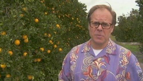 Orange Aid Orange Aid