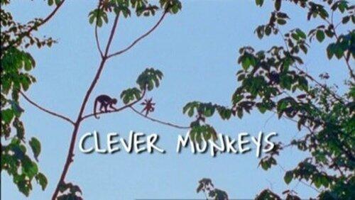 Clever Monkeys Clever Monkeys