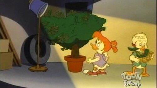 Easy Come, Easy Grows Easy Come, Easy Grows
